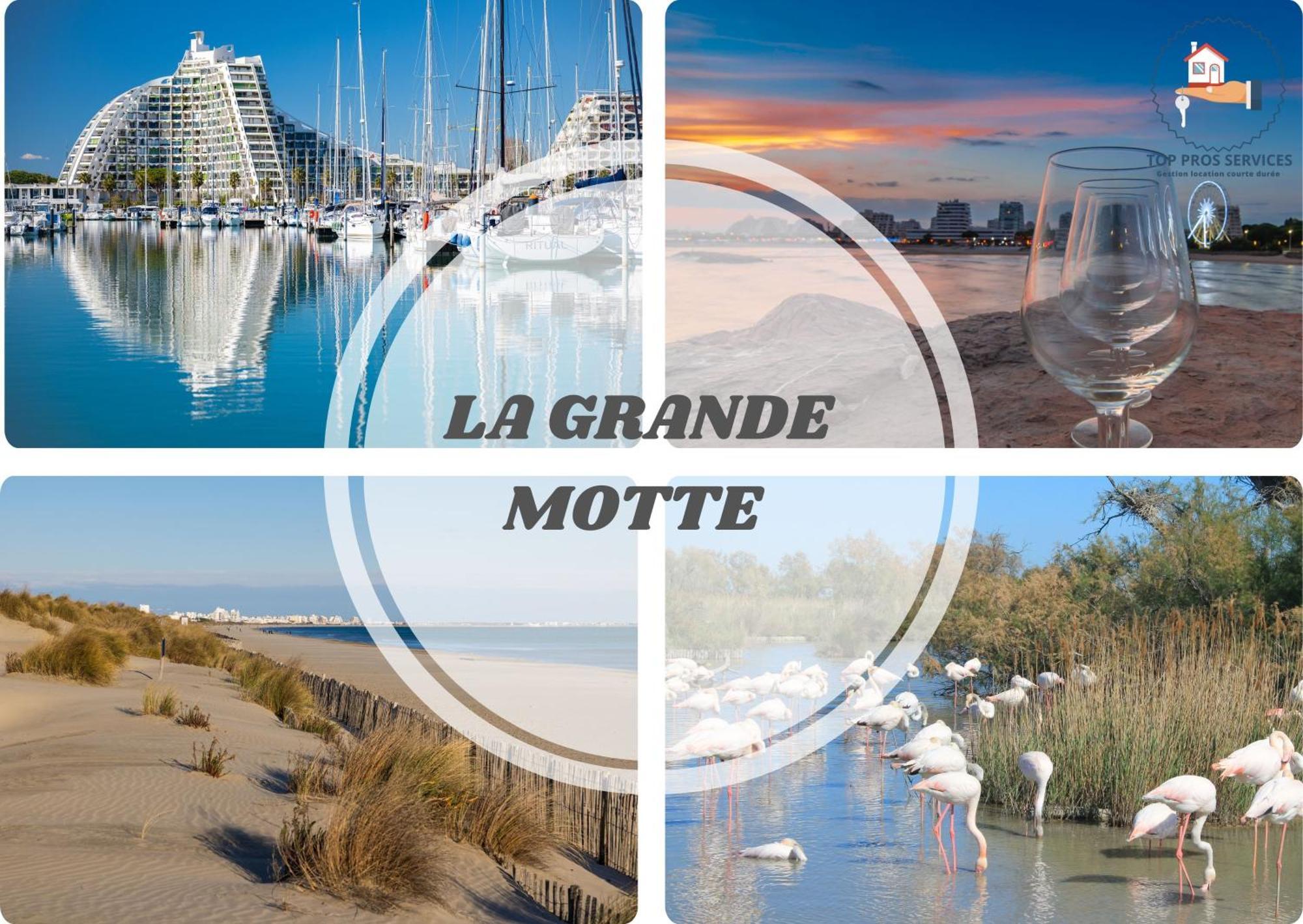 Le Cosy Wifi Clim Jardin Top Pros Servicesconciergerie モンペリエ エクステリア 写真