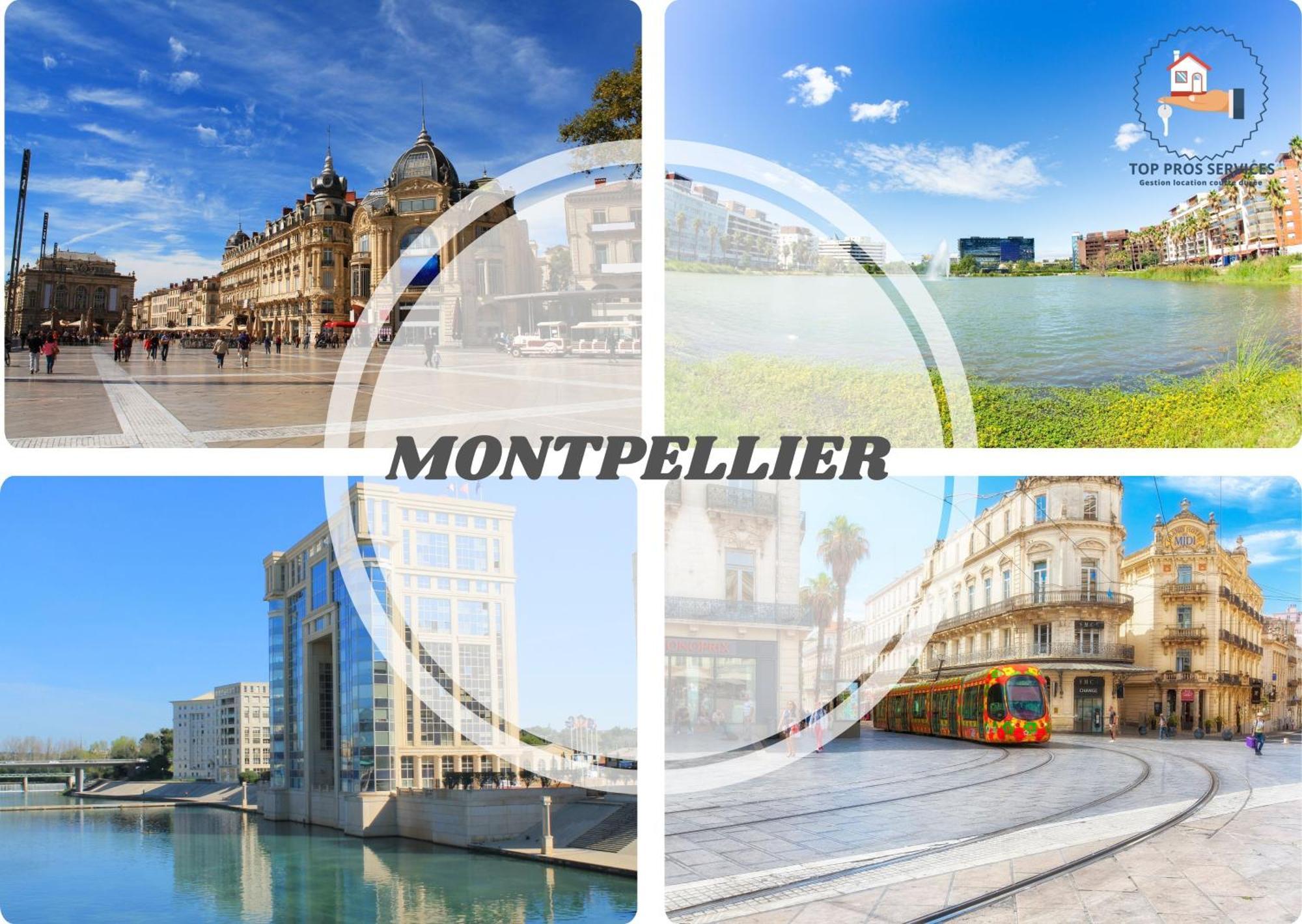 Le Cosy Wifi Clim Jardin Top Pros Servicesconciergerie モンペリエ エクステリア 写真